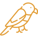 Icono naranja de un periquito