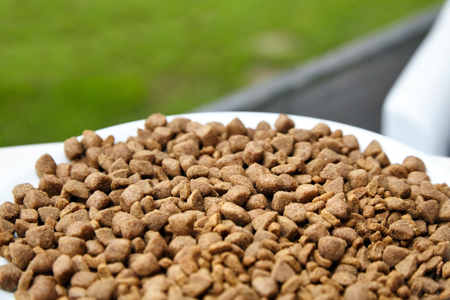 Primer plano de un cuenco lleno de bolitas de pienso seco